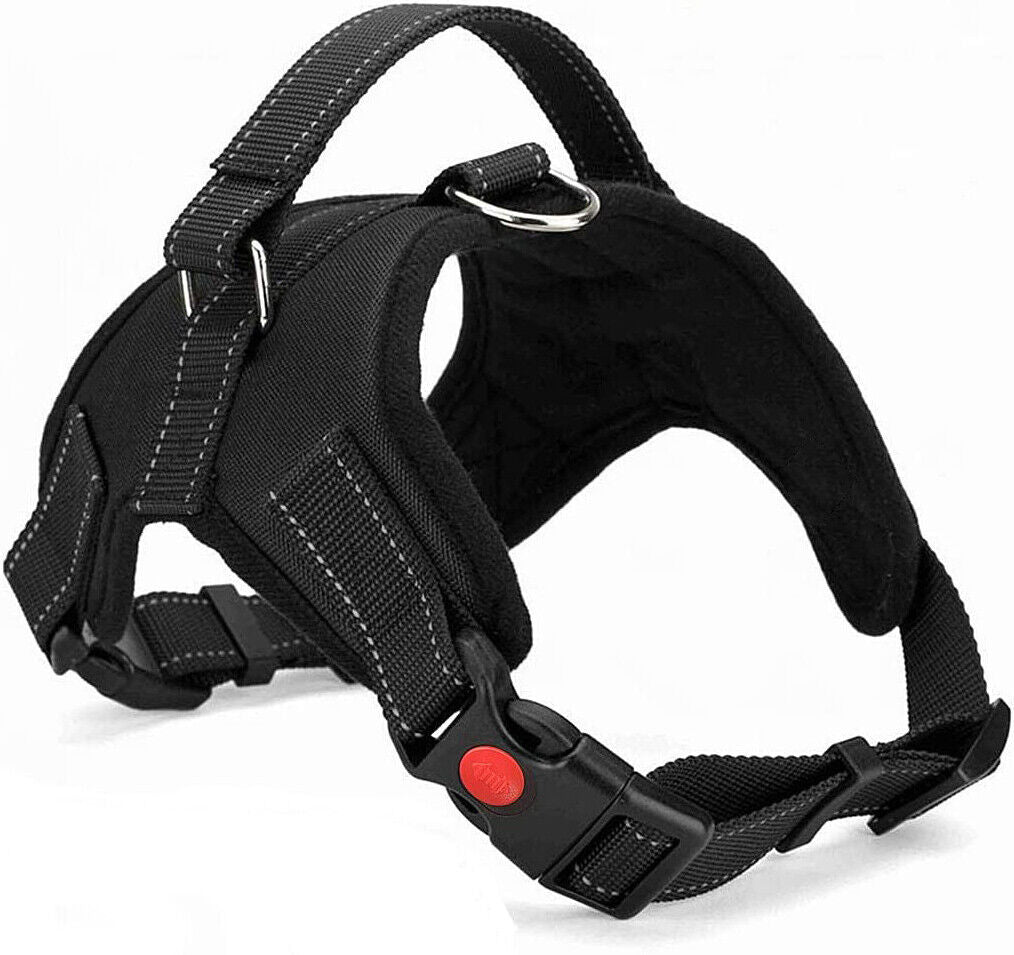 Dog No Pull Harness for Small Medium and Large Dogs Strong and Adjustable Image 14