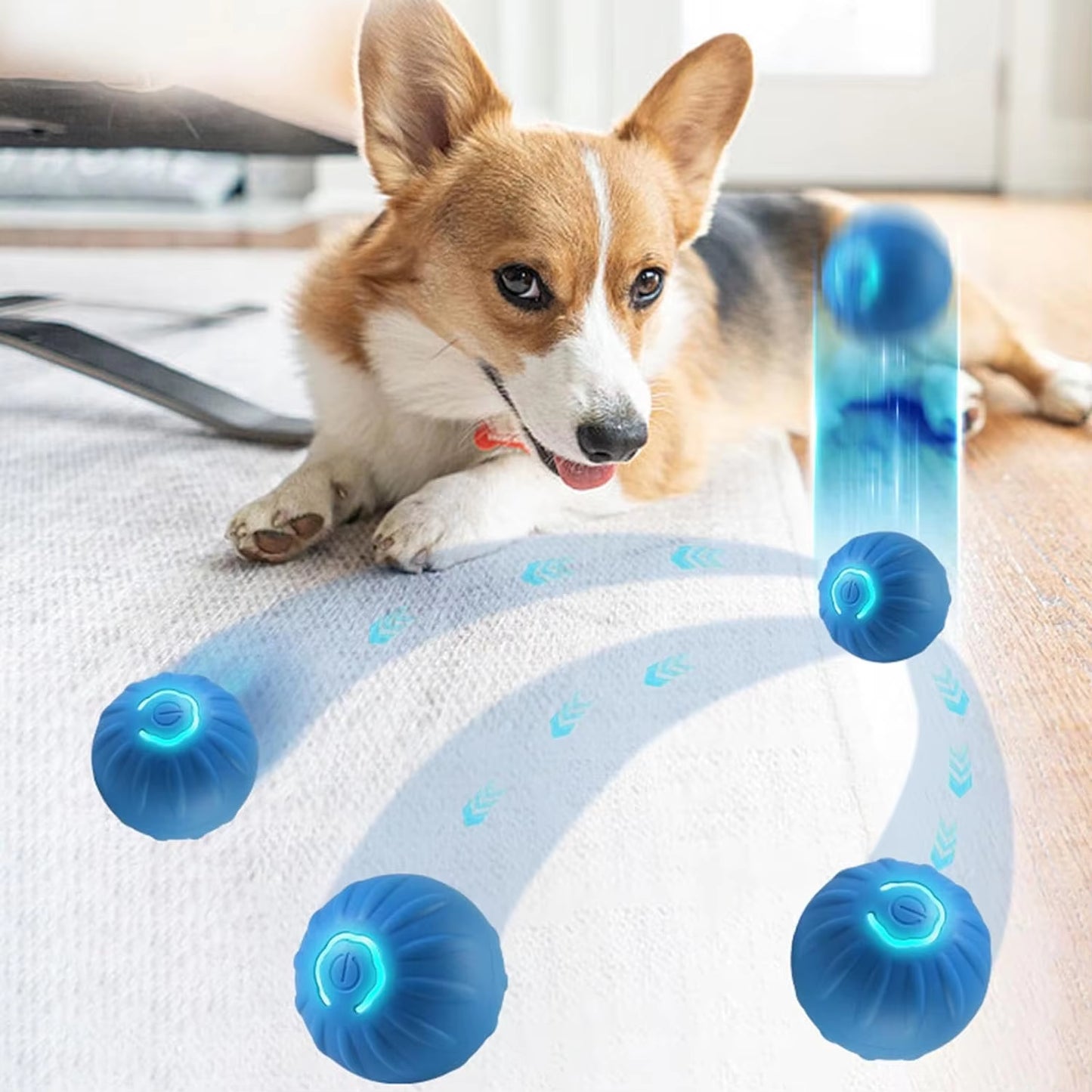 Automatic Interactive Bouncing and Vibrating Ball for Dogs and Puppies Image 2