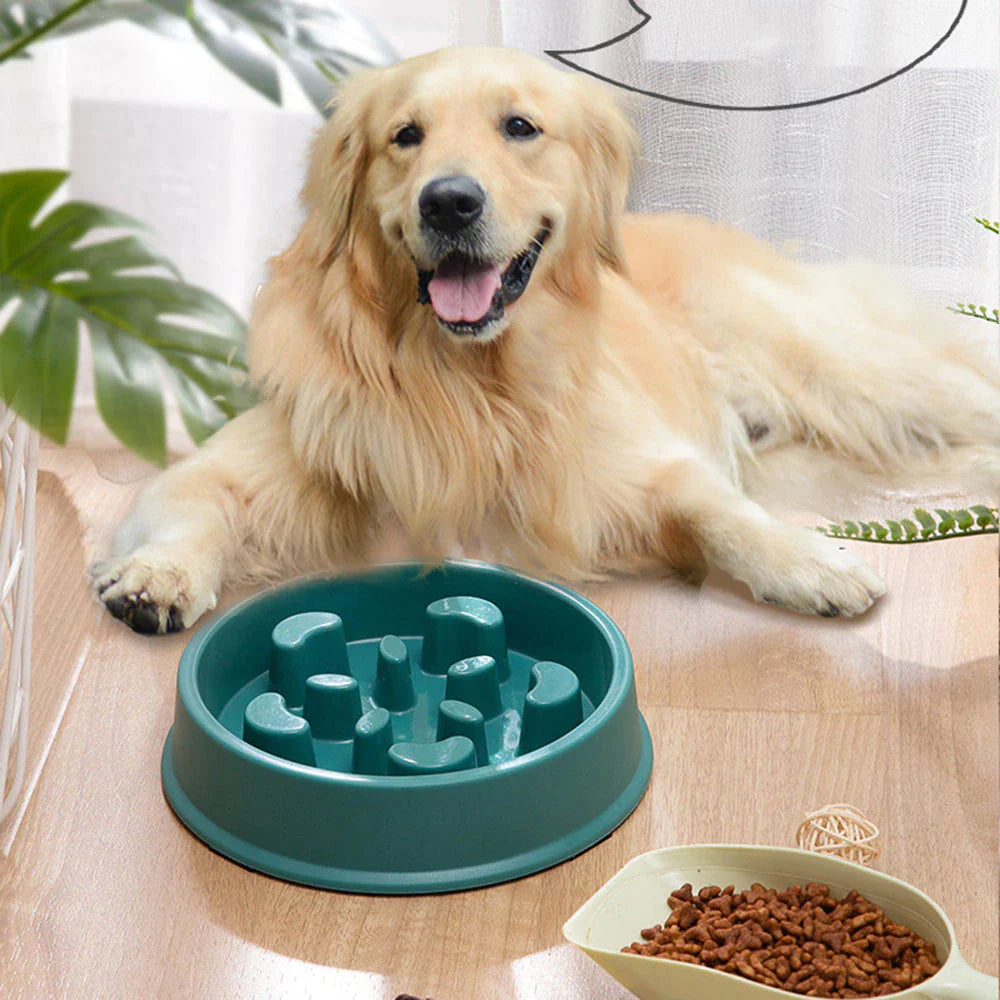 Pet Slow Feed Food Bowl Small Dog Non-Slip Slow for Cats and Dogs Image 6