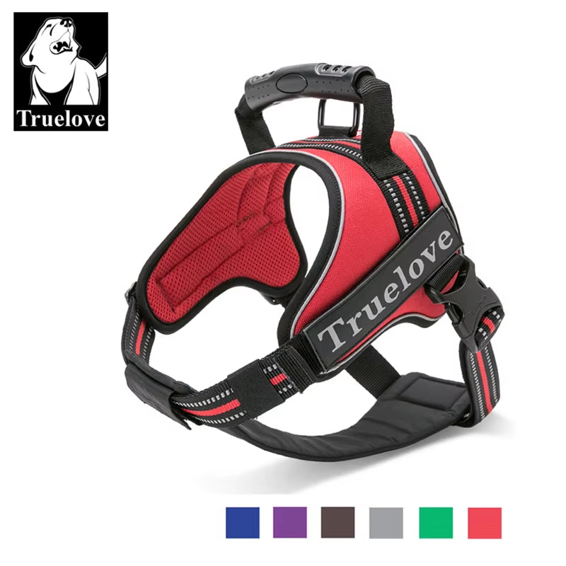 No-Pull Dog Harness with Reflective Stitching Image 2