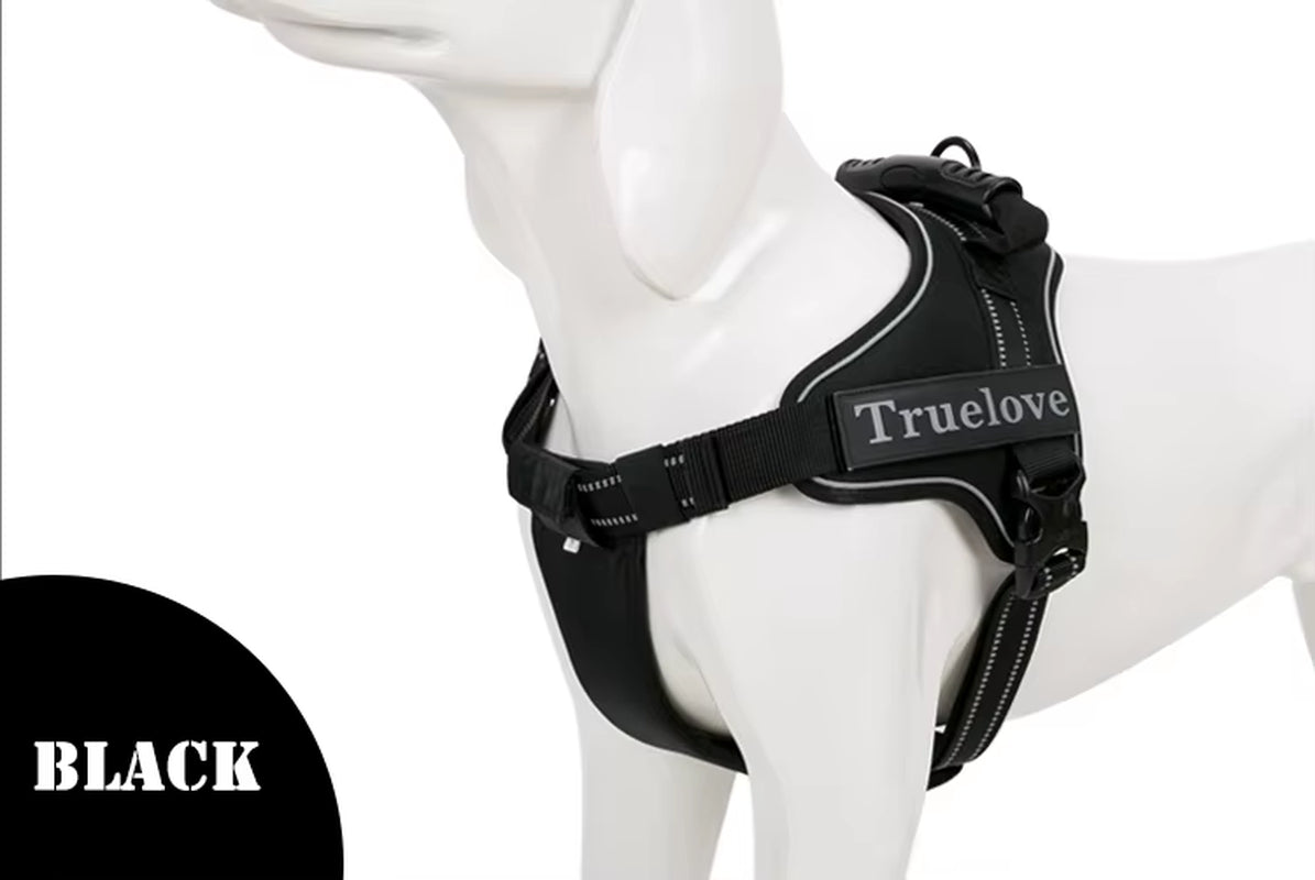 No-Pull Dog Harness with Reflective Stitching Image 17