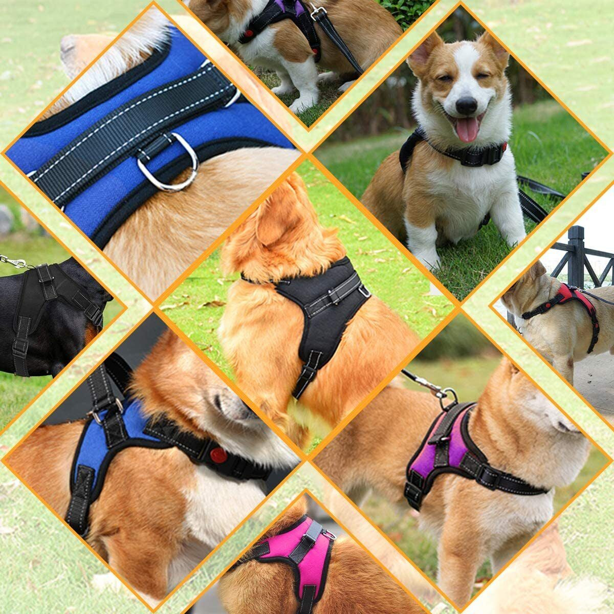 Dog No Pull Harness for Small Medium and Large Dogs Strong and Adjustable Image 25
