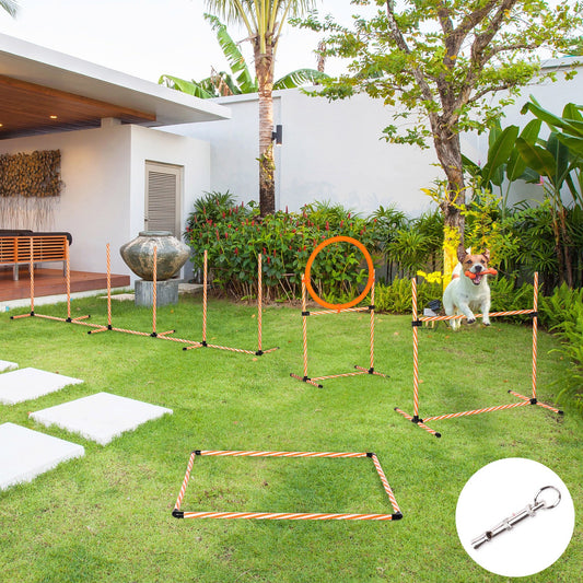 Dog agility training equipment - 4 piece obstacle set