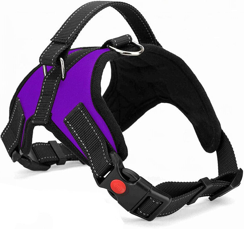 Dog No Pull Harness for Small Medium and Large Dogs Strong and Adjustable Image 41