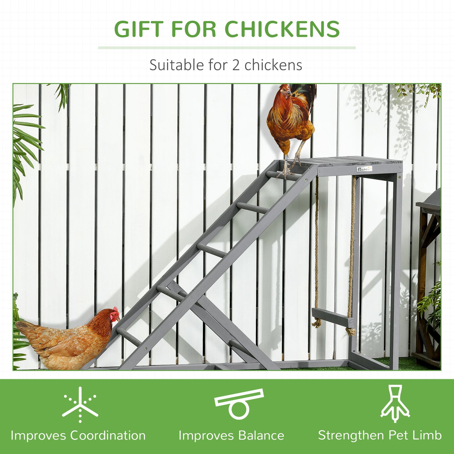 Walk-in poultry run - secure outdoor housing