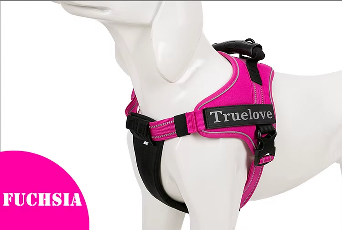 No-Pull Dog Harness with Reflective Stitching Image 14