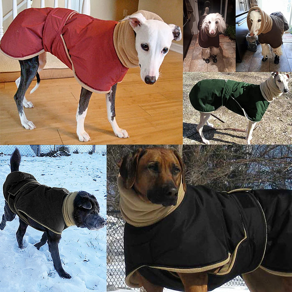Winter Warm Waterproof Dog Jacket Coat with Leash Hole for Medium Large Dogs Image 6