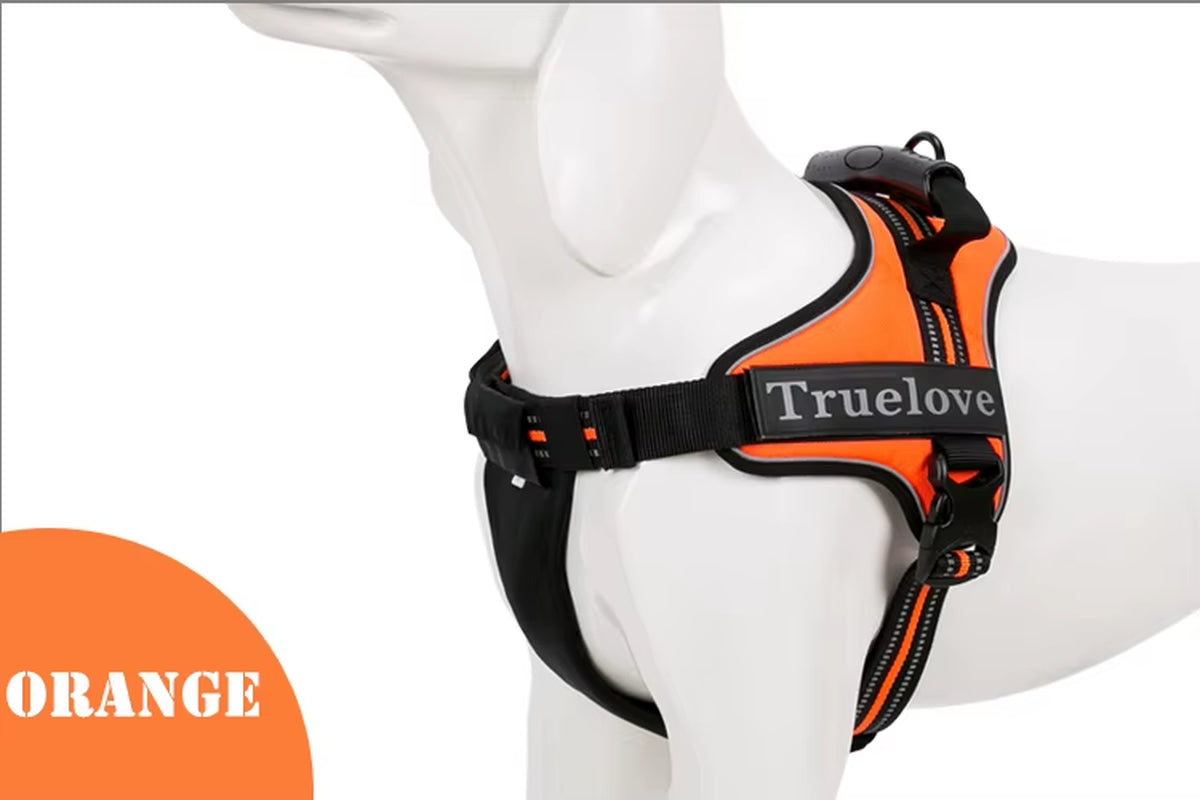 No-Pull Dog Harness with Reflective Stitching Image 12