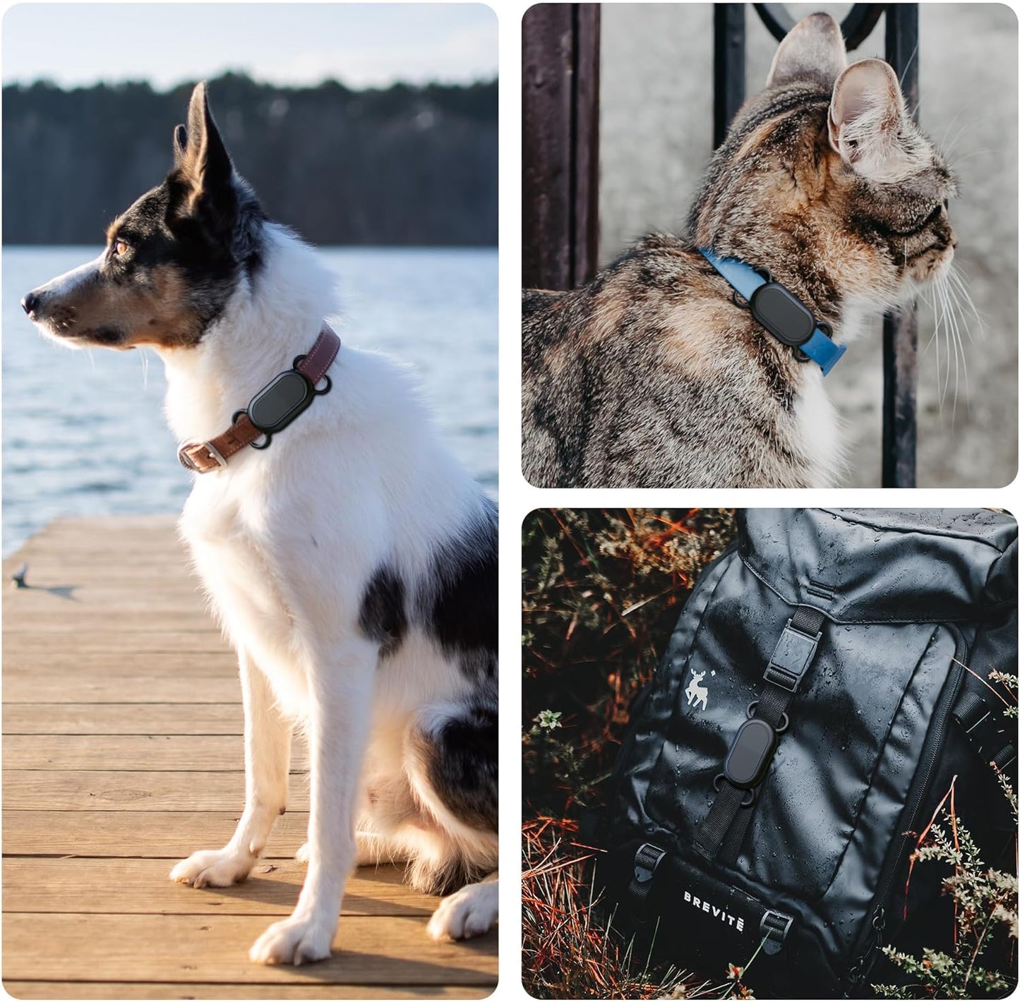 Dog Collar Holder 2 Pack for Samsung Galaxy Smarttag2 with Waterproof Silicone Case for Pet Dog or Cat Image 8