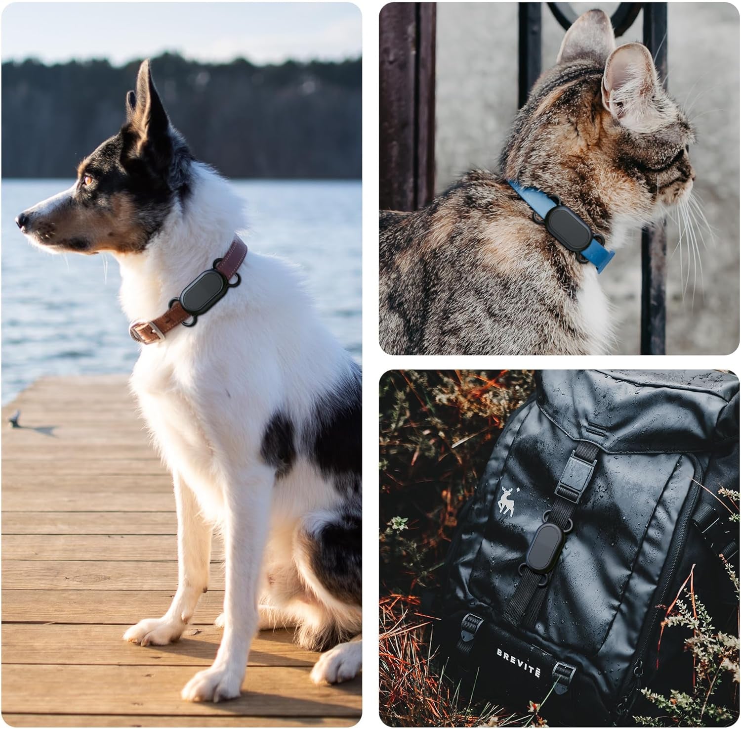 Dog Collar Holder 2 Pack for Samsung Galaxy Smarttag2 with Waterproof Silicone Case for Pet Dog or Cat Image 8