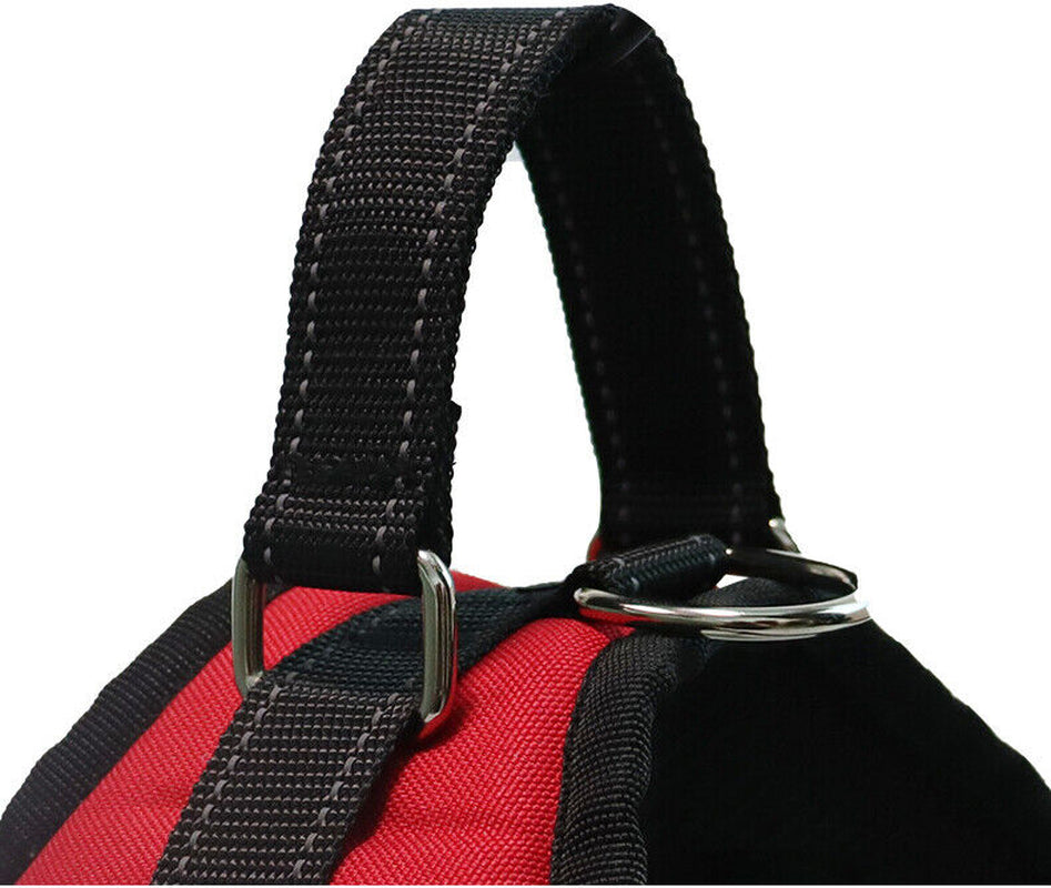 Dog No Pull Harness for Small Medium and Large Dogs Strong and Adjustable Image 10
