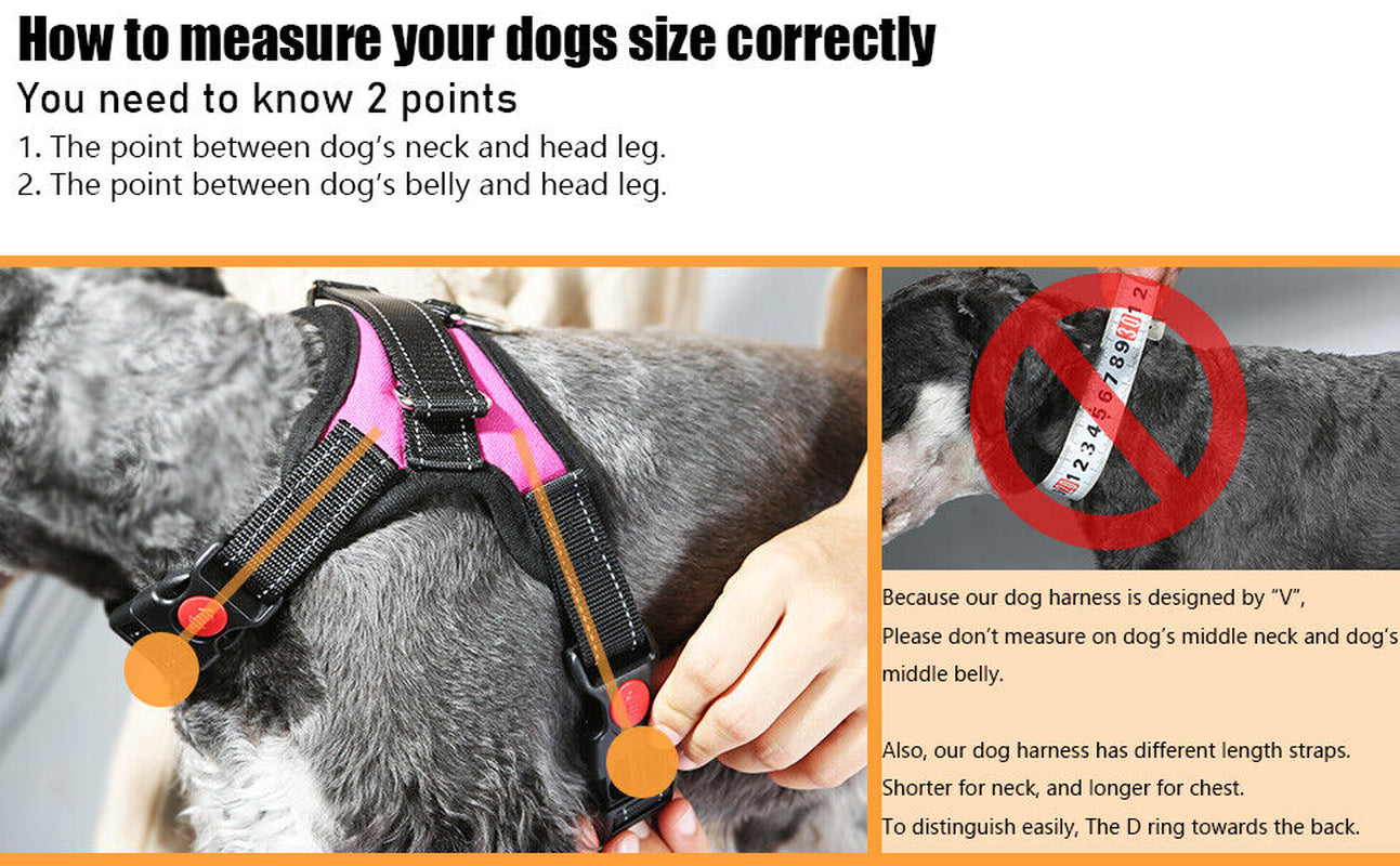 Dog No Pull Harness for Small Medium and Large Dogs Strong and Adjustable Image 47