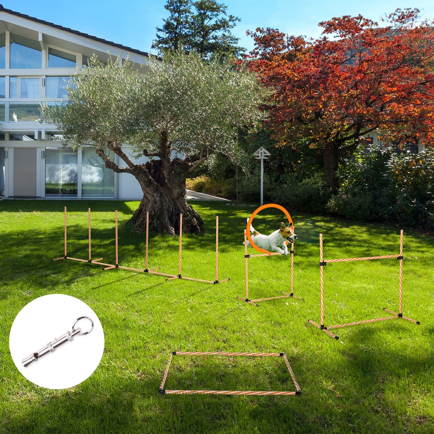Pet agility training hurdles - professional equipment