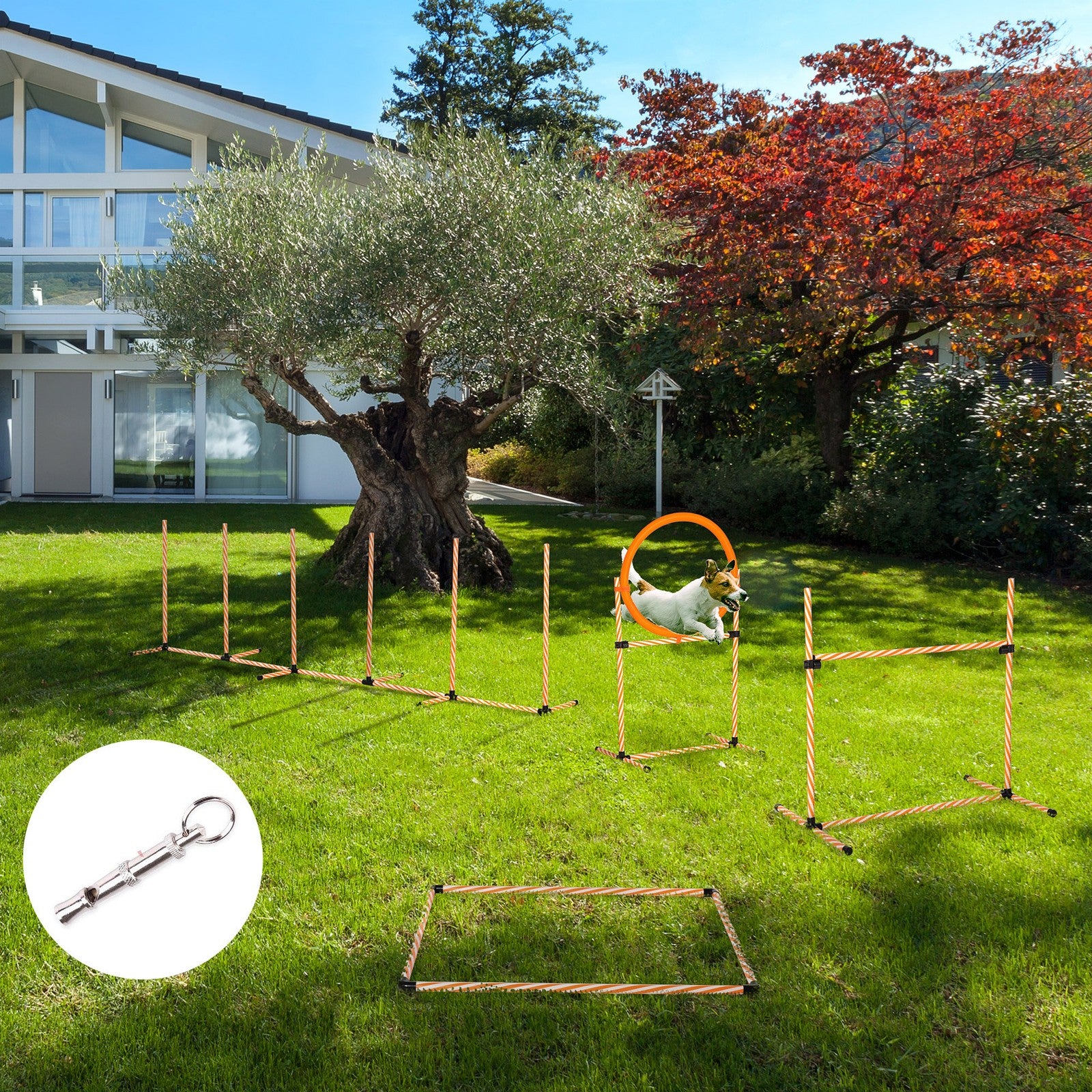 Pet agility training hurdles - professional equipment