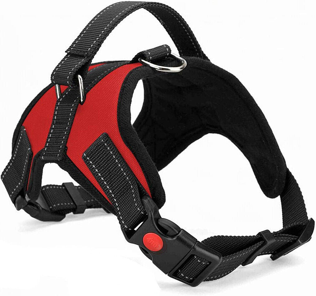 Dog No Pull Harness for Small Medium and Large Dogs Strong and Adjustable Image 27