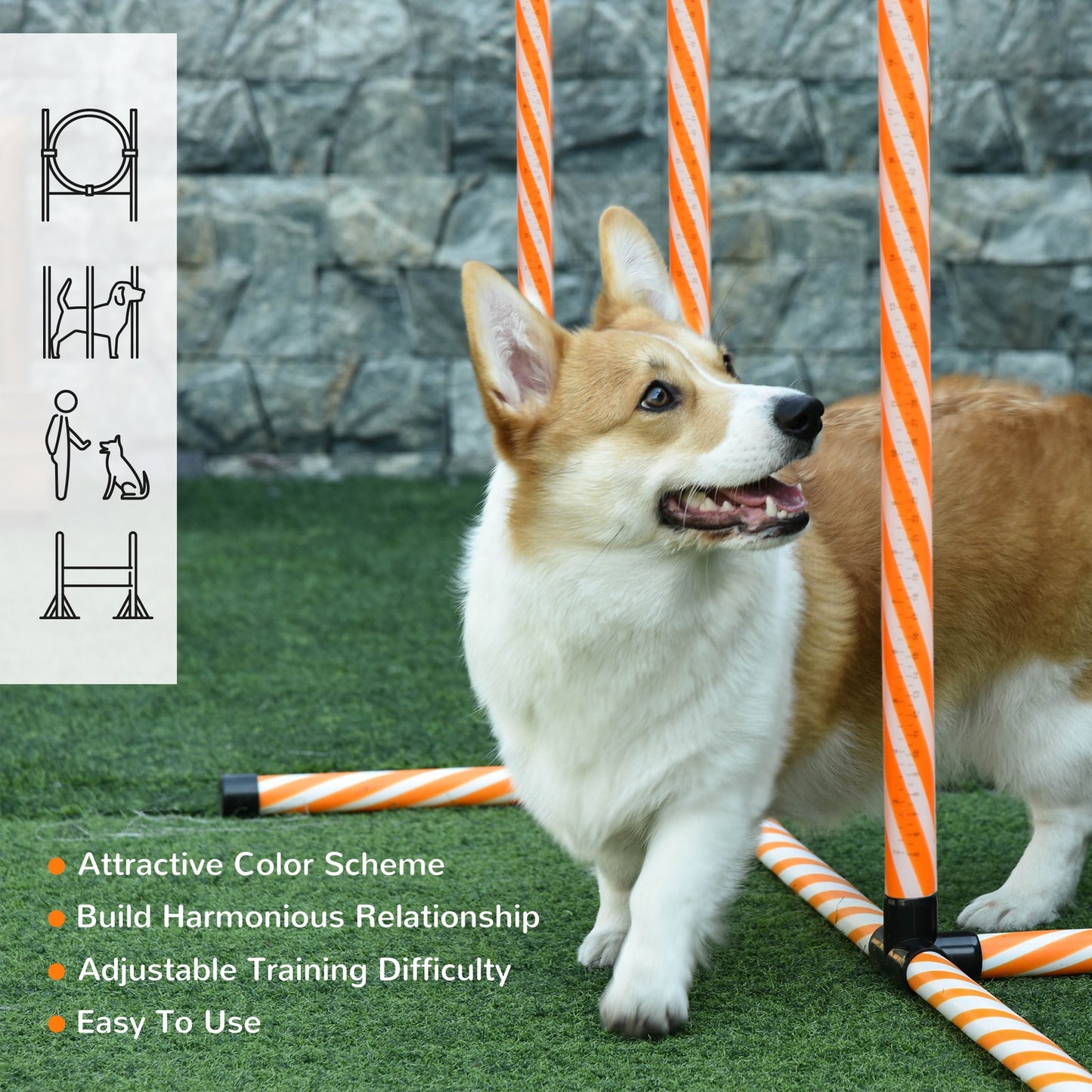 Complete agility course for dogs - orange and white