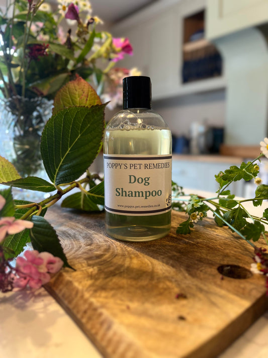 Natural pet shampoo for dog or cat with flea deterrent
