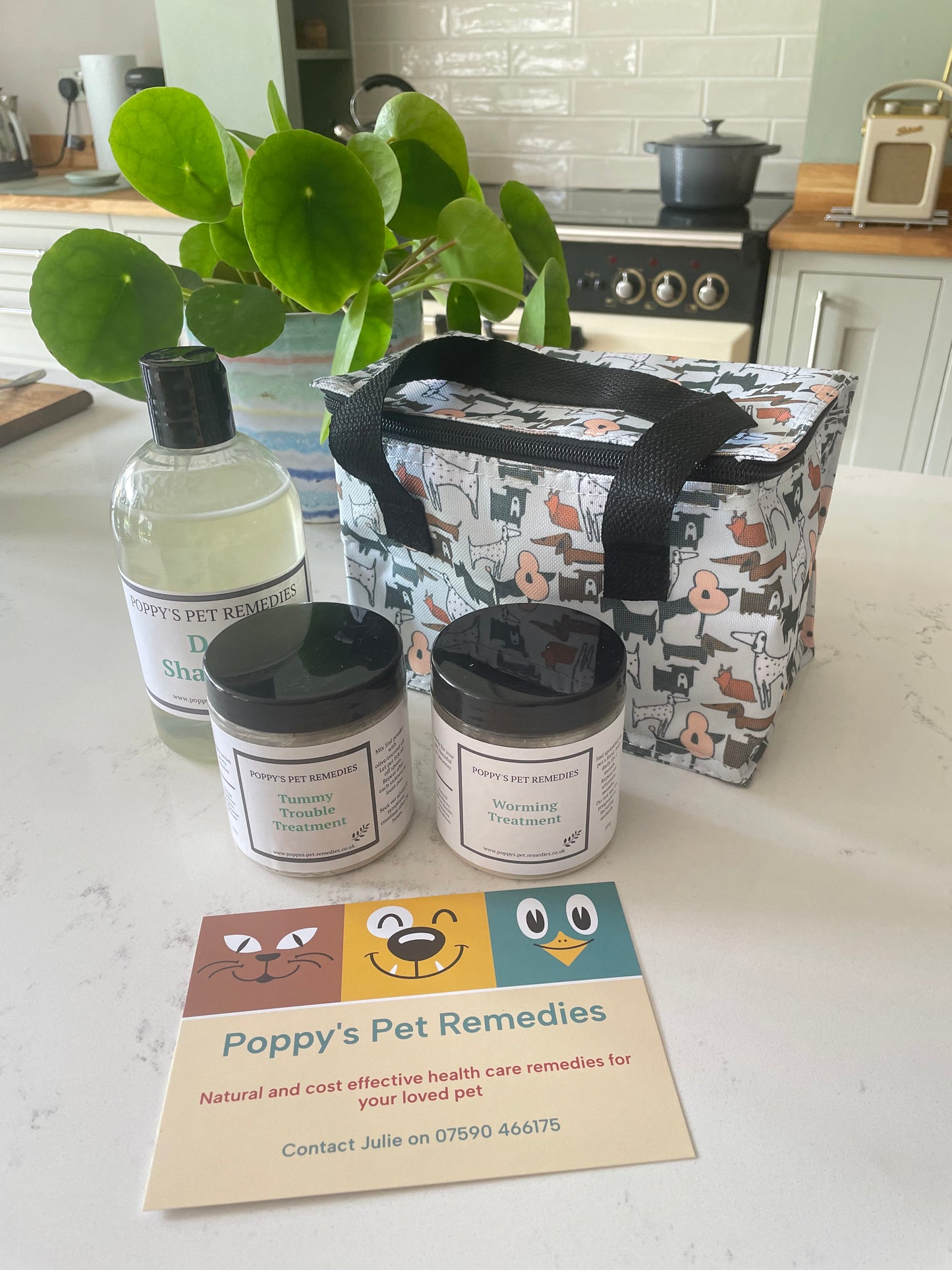 Dog Health Emergency Pack first aid and travel kit
