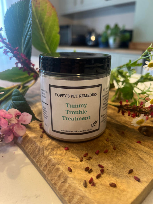 Natural treatment for your pet's tummy  for sickness and diahorrea