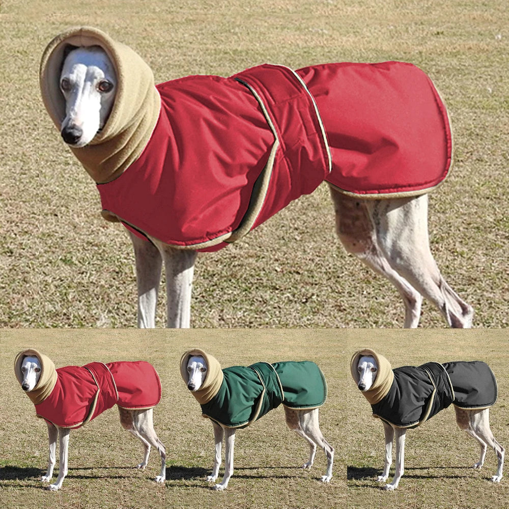 Winter Warm Waterproof Dog Jacket Coat with Leash Hole for Medium Large Dogs Image 2