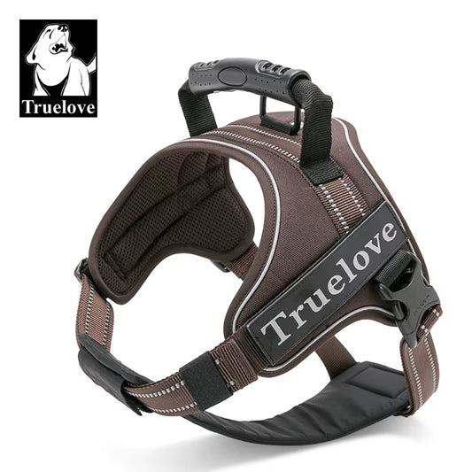 No-Pull Dog Harness with Reflective Stitching Image 1