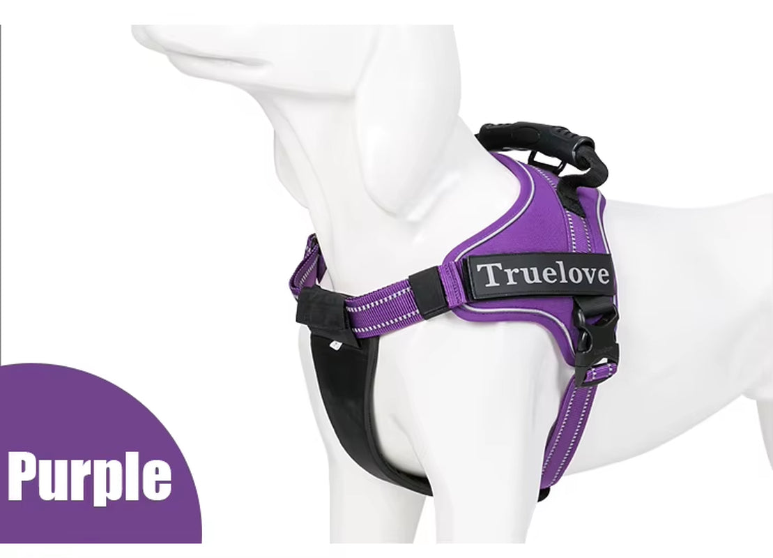 No-Pull Dog Harness with Reflective Stitching Image 13