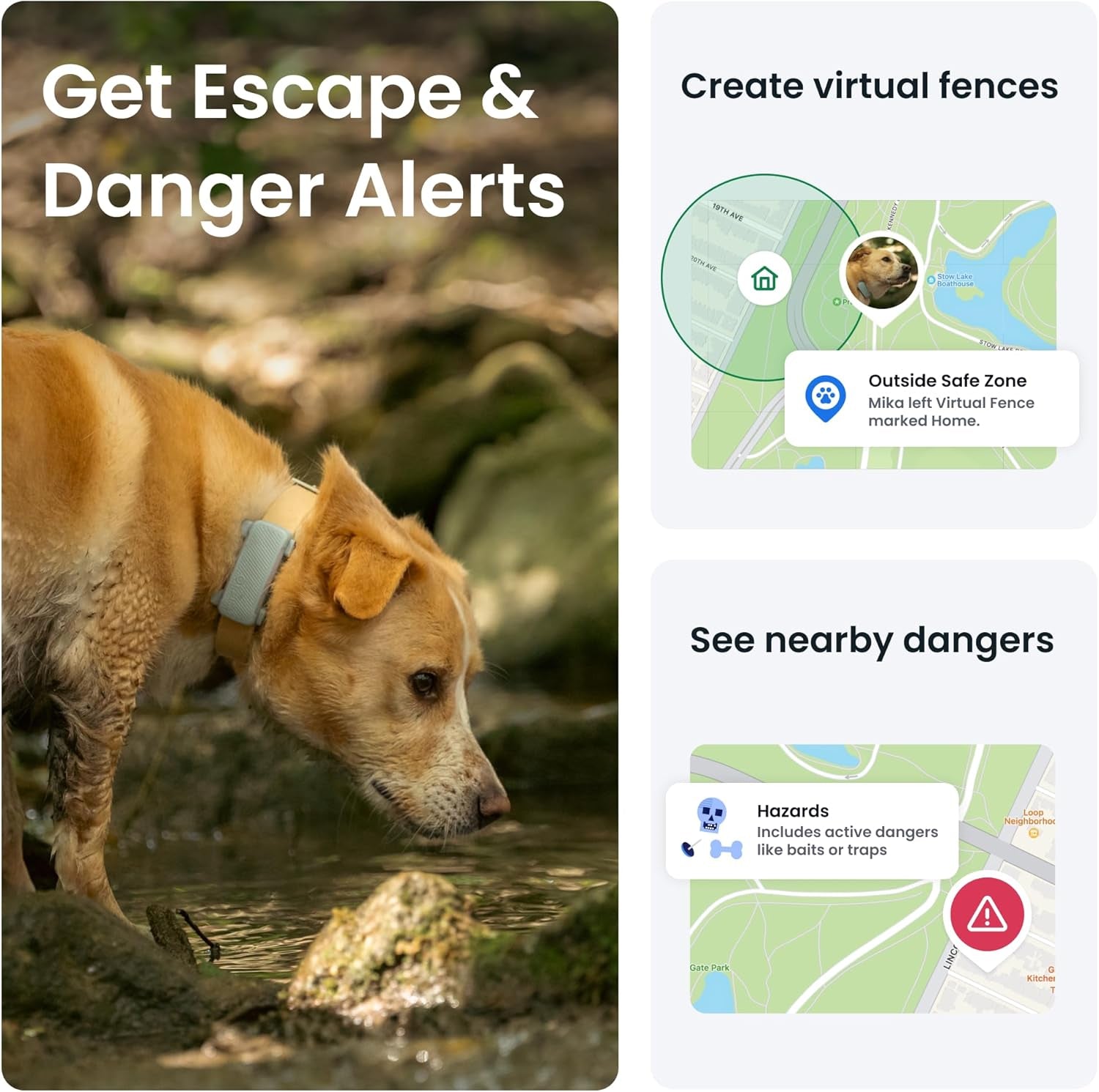 Smart Dog Tracker 2025 Edition Real-Time GPS Tracking Market Leader Image 4
