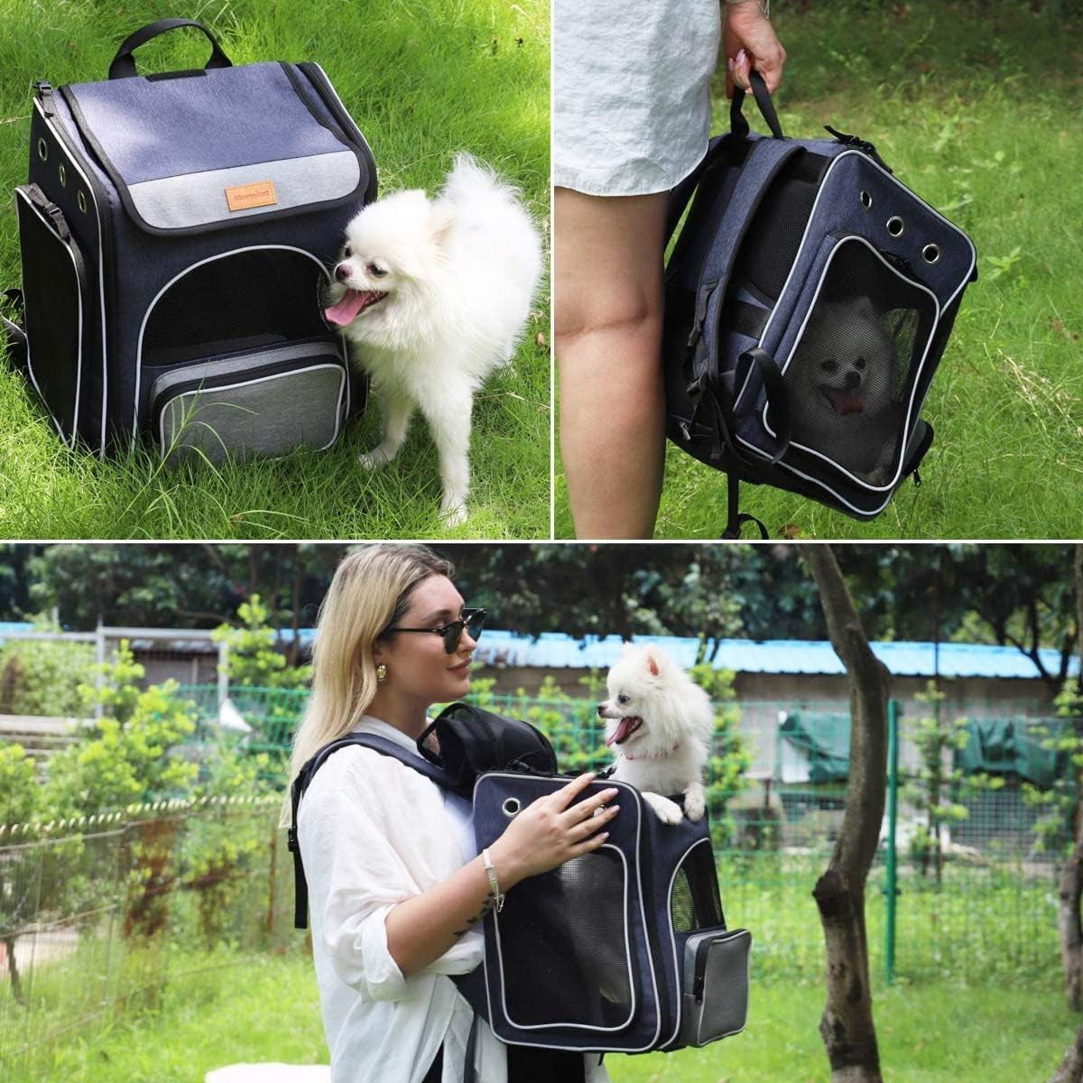 Cat Carrier Foldable Backpack for Cats and Small Dogs, Breathable with Inner Safety Leash + Folding Dog Bowl Image 6