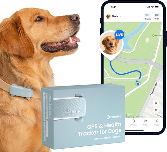 Smart Dog Tracker 2025 Edition Real-Time GPS Tracking Market Leader 