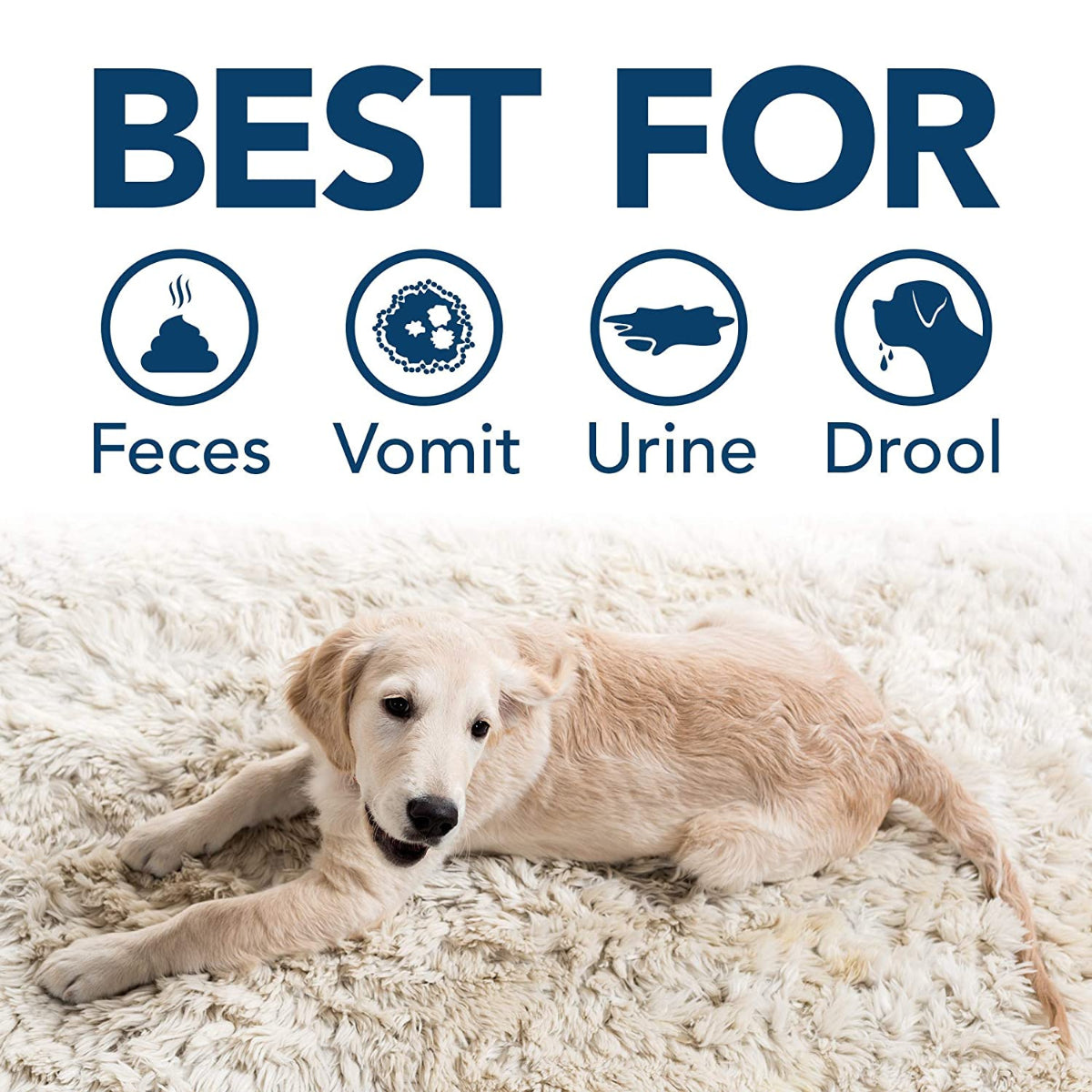 Simple Solution Dog Cat Pet Stain Odour Remover Urine Smell Destroyer Cleaner 4L Image 3