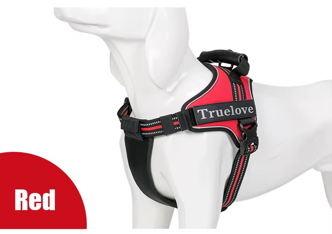 No-Pull Dog Harness with Reflective Stitching Image 16
