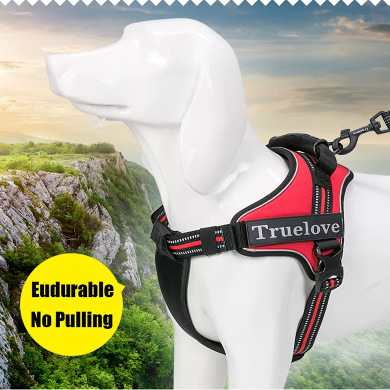 No-Pull Dog Harness with Reflective Stitching Image 7