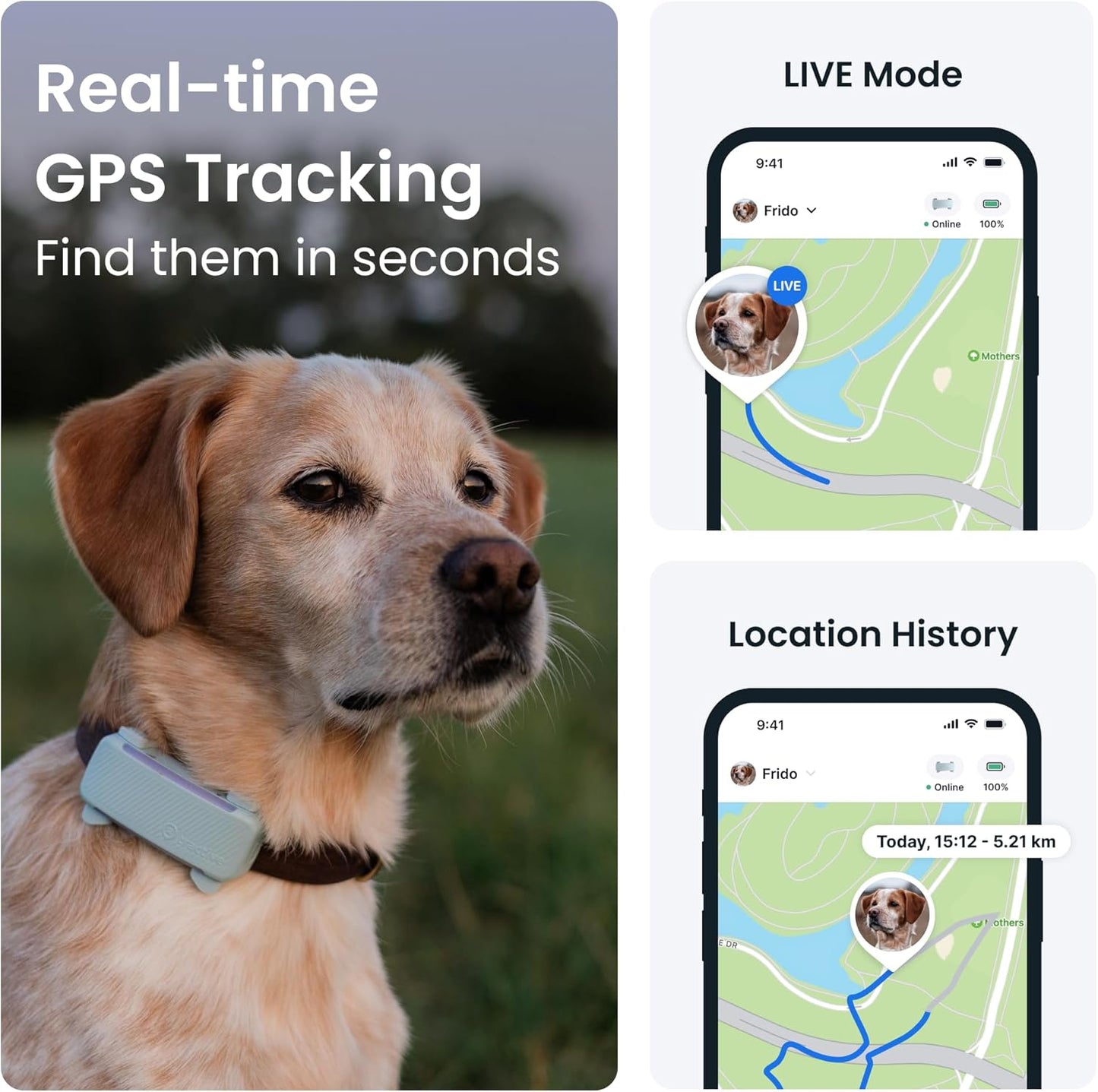 Smart Dog Tracker 2025 Edition Real-Time GPS Tracking Market Leader Image 2